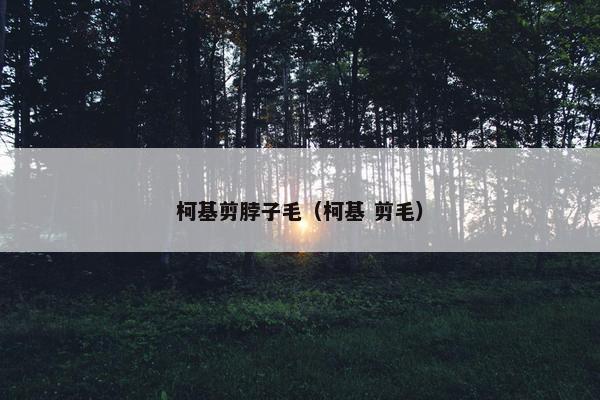 柯基剪脖子毛（柯基 剪毛）