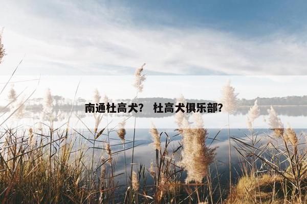 南通杜高犬？ 杜高犬俱乐部？