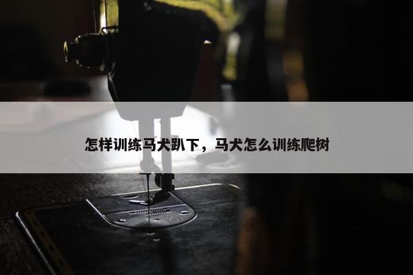 怎样训练马犬趴下，马犬怎么训练爬树