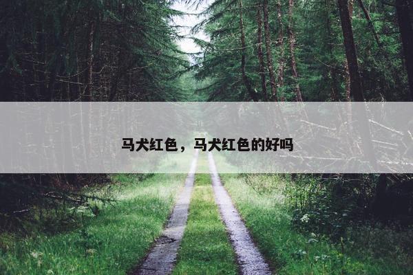 马犬红色，马犬红色的好吗
