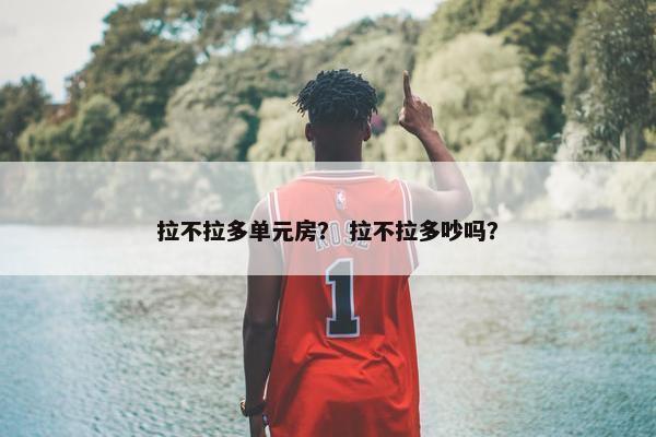拉不拉多单元房？ 拉不拉多吵吗？