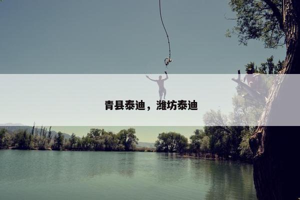 青县泰迪，潍坊泰迪