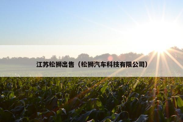 江苏松狮出售（松狮汽车科技有限公司）