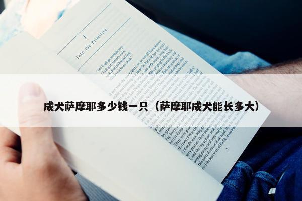 成犬萨摩耶多少钱一只（萨摩耶成犬能长多大）