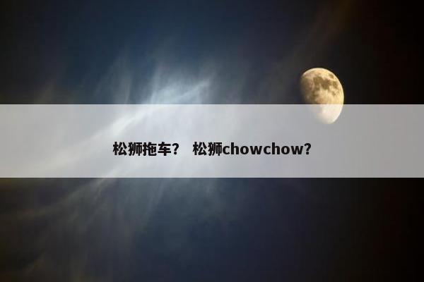 松狮拖车？ 松狮chowchow？