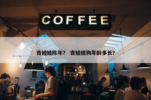 吉娃娃陈年？ 吉娃娃狗年龄多长？