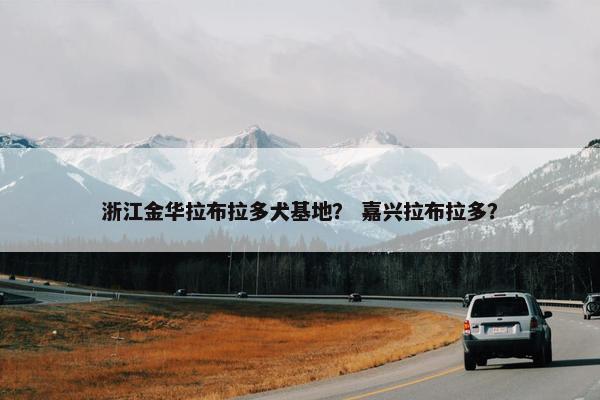浙江金华拉布拉多犬基地？ 嘉兴拉布拉多？