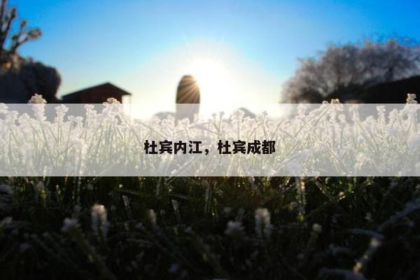 杜宾内江，杜宾成都