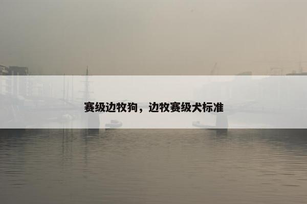 赛级边牧狗，边牧赛级犬标准
