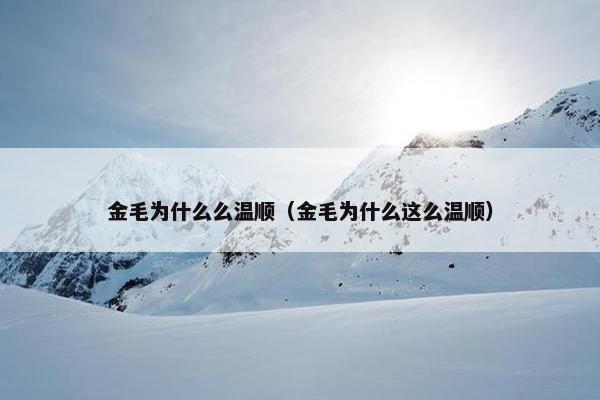金毛为什么么温顺（金毛为什么这么温顺）
