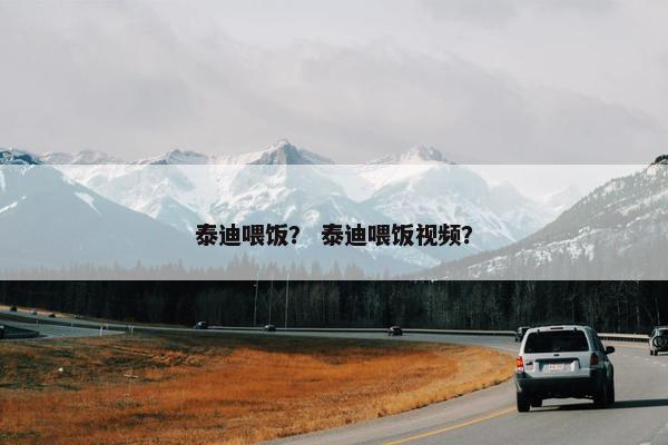 泰迪喂饭？ 泰迪喂饭视频？