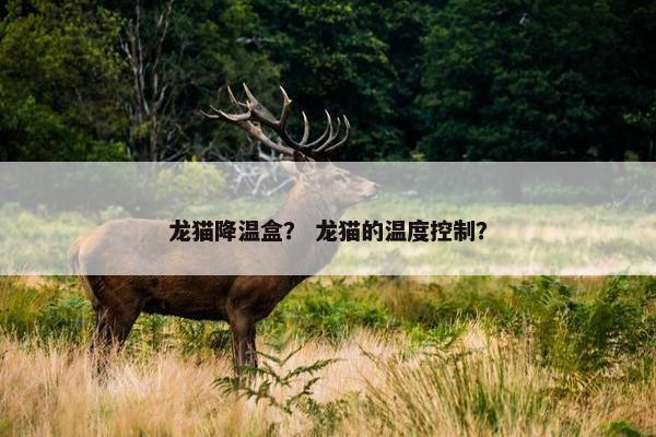 龙猫降温盒？ 龙猫的温度控制？
