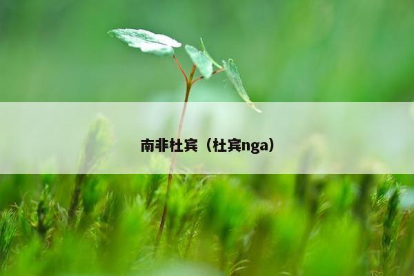 南非杜宾（杜宾nga）