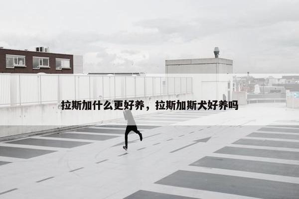 拉斯加什么更好养，拉斯加斯犬好养吗
