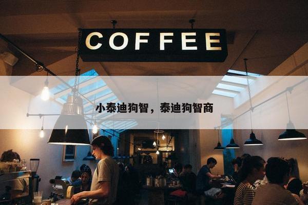 小泰迪狗智，泰迪狗智商
