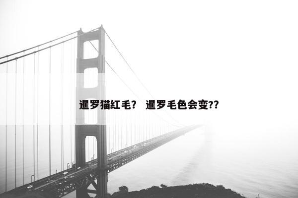 暹罗猫红毛？ 暹罗毛色会变?？