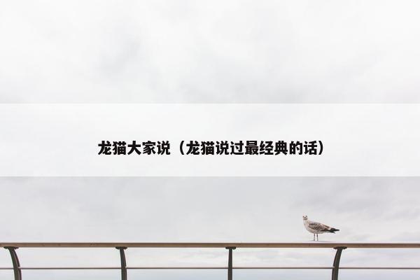 龙猫大家说（龙猫说过最经典的话）