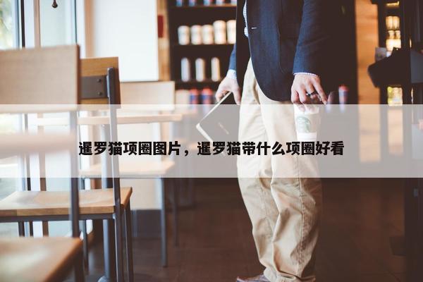 暹罗猫项圈图片，暹罗猫带什么项圈好看
