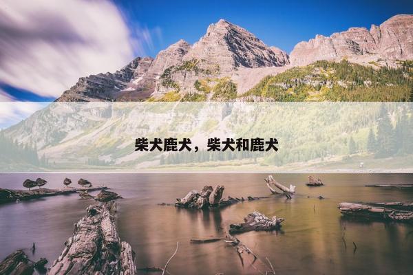 柴犬鹿犬，柴犬和鹿犬
