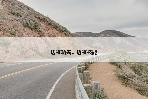 边牧功夫，边牧技能