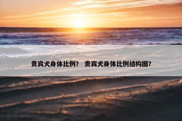 贵宾犬身体比例？ 贵宾犬身体比例结构图？