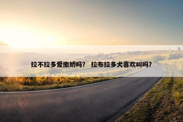 拉不拉多爱撒娇吗？ 拉布拉多犬喜欢叫吗？