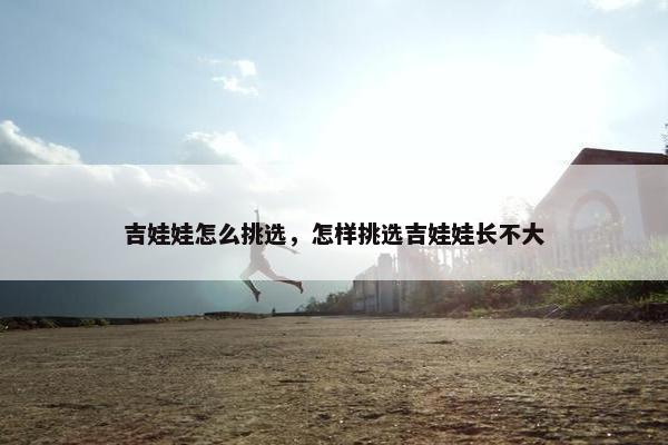 吉娃娃怎么挑选，怎样挑选吉娃娃长不大