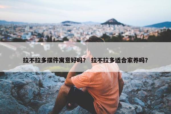 拉不拉多摆件寓意好吗？ 拉不拉多适合家养吗？
