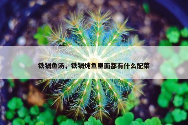 铁锅鱼汤，铁锅炖鱼里面都有什么配菜
