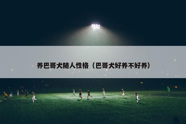 养巴哥犬随人性格（巴哥犬好养不好养）