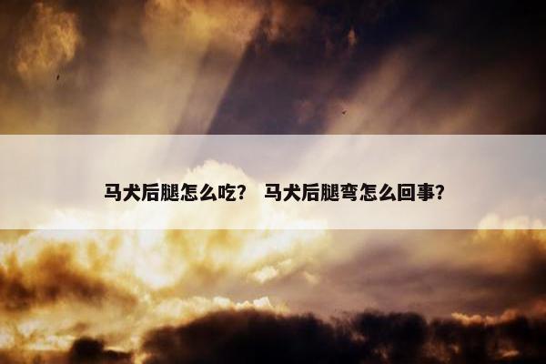 马犬后腿怎么吃？ 马犬后腿弯怎么回事？