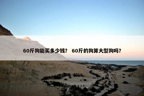 60斤狗能买多少钱？ 60斤的狗算大型狗吗？