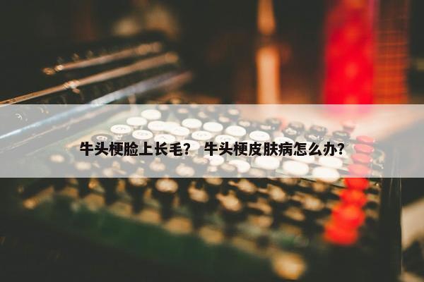 牛头梗脸上长毛？ 牛头梗皮肤病怎么办？