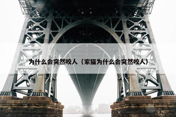 为什么会突然咬人（家猫为什么会突然咬人）
