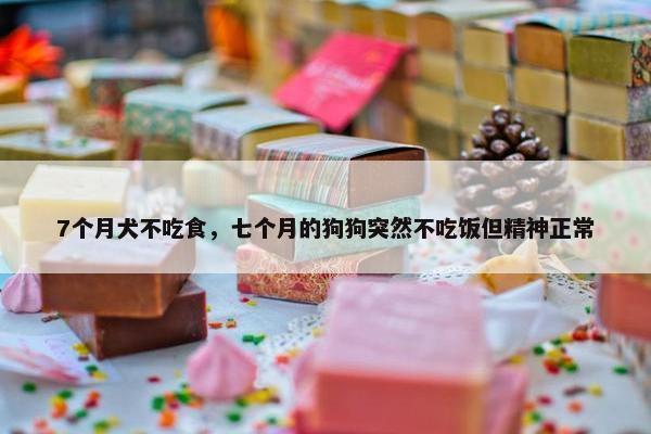7个月犬不吃食，七个月的狗狗突然不吃饭但精神正常