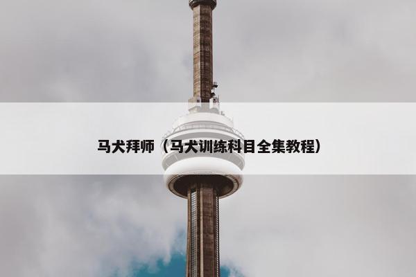 马犬拜师（马犬训练科目全集教程）