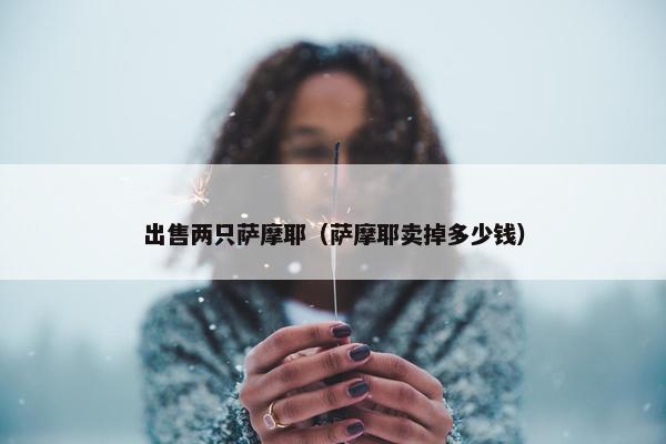 出售两只萨摩耶（萨摩耶卖掉多少钱）