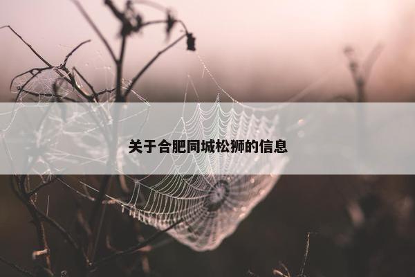 关于合肥同城松狮的信息