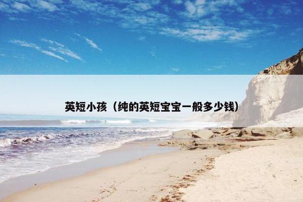 英短小孩（纯的英短宝宝一般多少钱）
