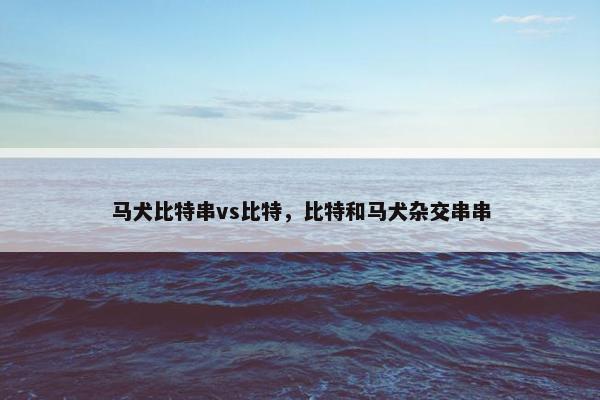 马犬比特串vs比特，比特和马犬杂交串串