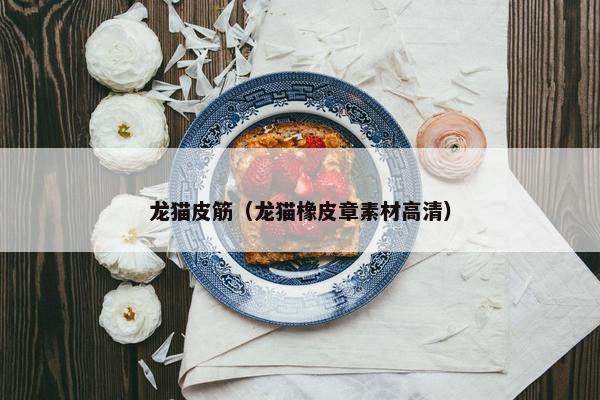 龙猫皮筋（龙猫橡皮章素材高清）