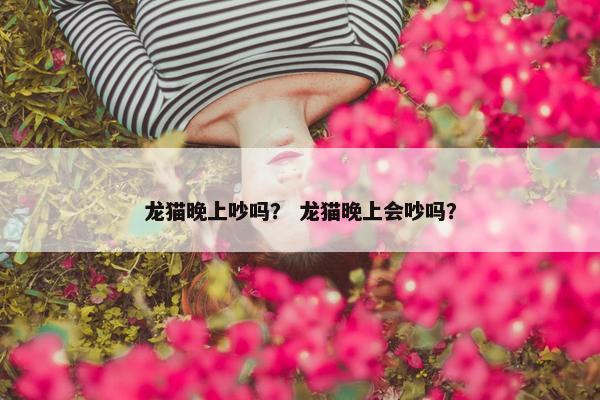 龙猫晚上吵吗？ 龙猫晚上会吵吗？