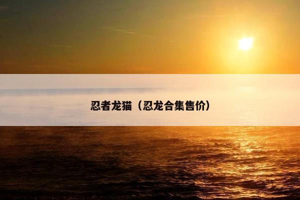 忍者龙猫（忍龙合集售价）