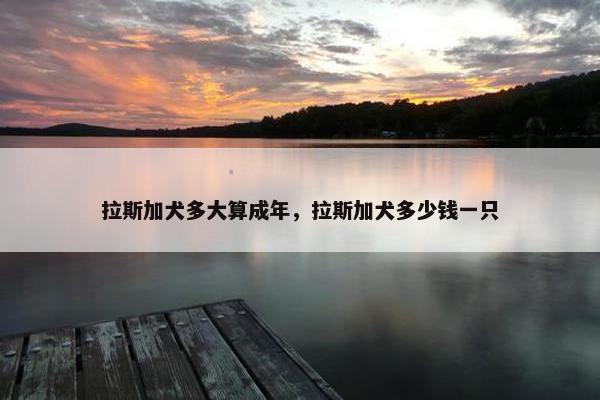 拉斯加犬多大算成年，拉斯加犬多少钱一只