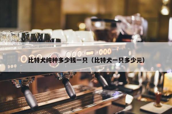 比特犬纯种多少钱一只（比特犬一只多少元）