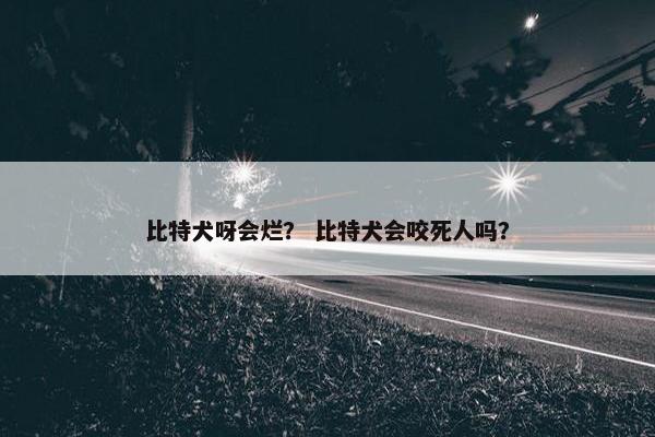 比特犬呀会烂？ 比特犬会咬死人吗？