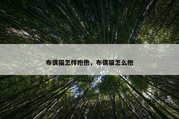 布偶猫怎样抱他，布偶猫怎么抱