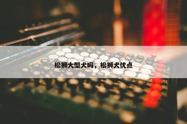 松狮大型犬吗，松狮犬优点