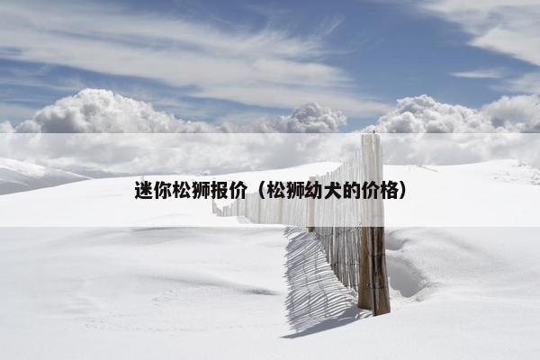迷你松狮报价（松狮幼犬的价格）
