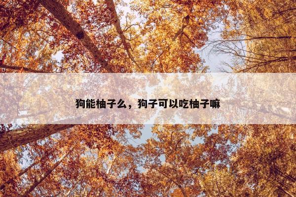 狗能柚子么，狗子可以吃柚子嘛